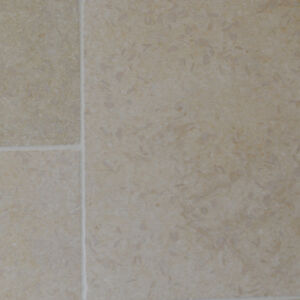 Caspium Limestone Exterior Acid Treated & Tumbled (Sample)